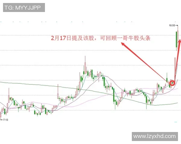 姚明最新持股动态分析及其对篮球产业的影响探讨